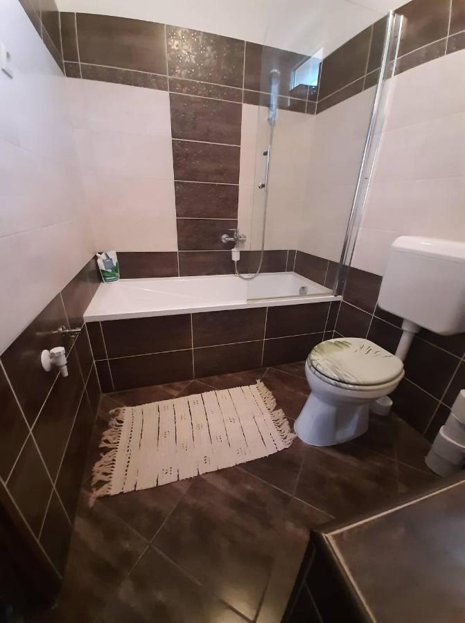 Akacvirag Airport Vendeghaz Apartment Debreţin Exterior foto